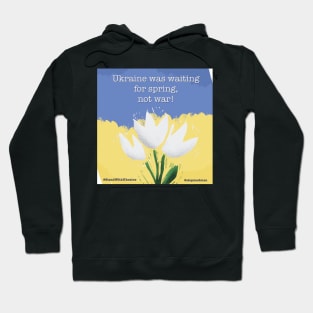 Ukraine was waiting for spring... Hoodie